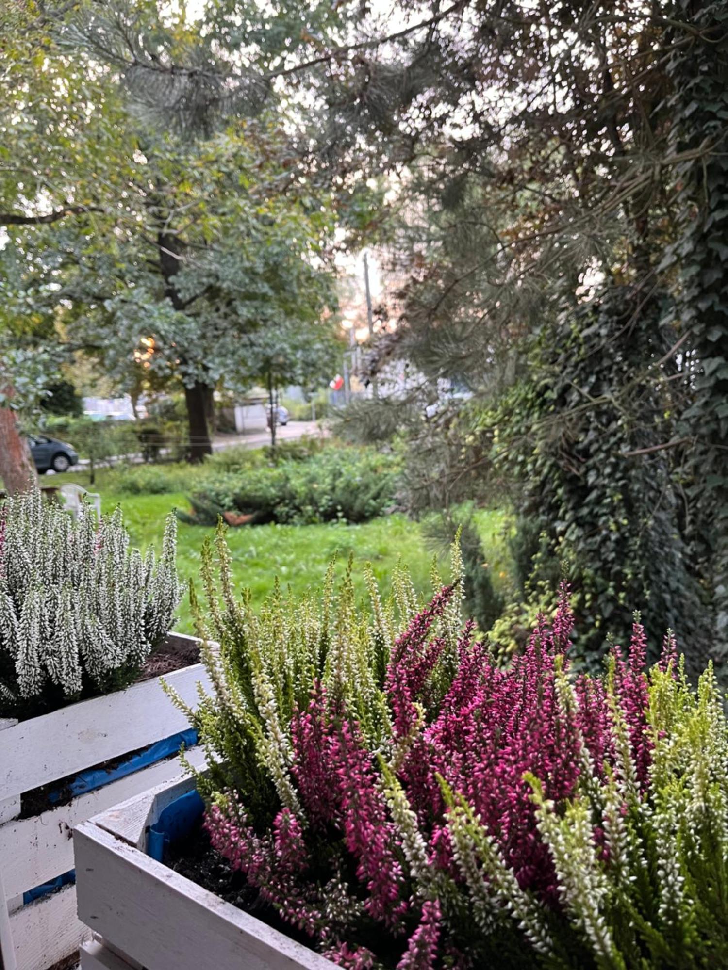 Greenthumb Praska كراكوفيا المظهر الخارجي الصورة